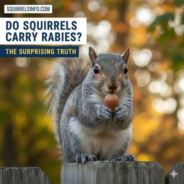 Are baby squirrels afraid of humans?