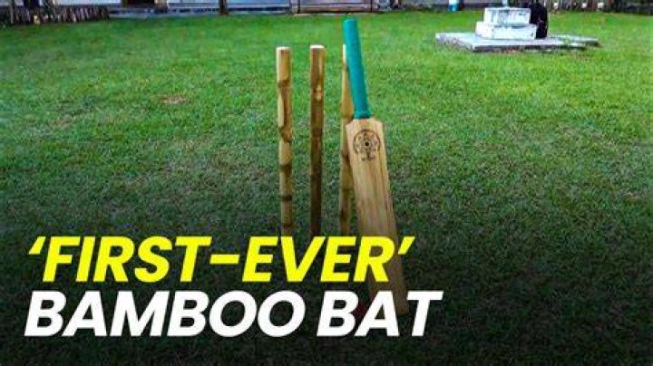 Are bamboo cricket bats good?