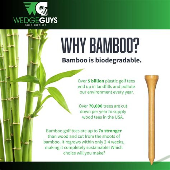 Are bamboo golf tees any good?