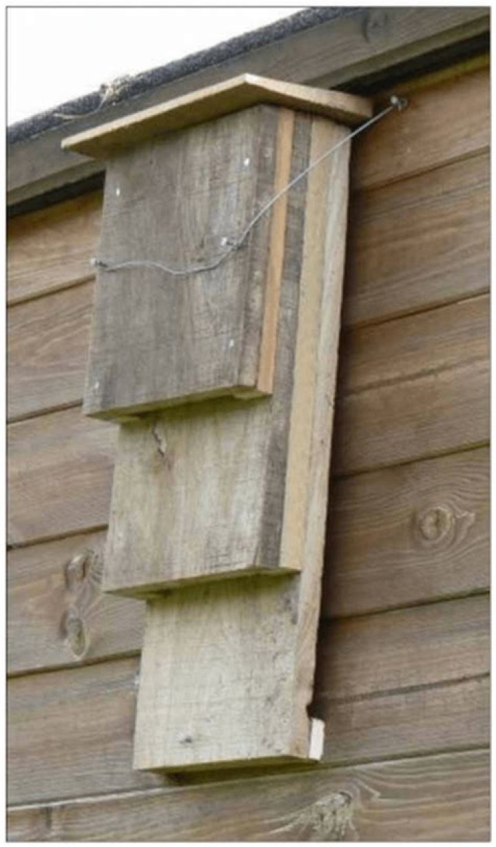 Are bat houses messy?