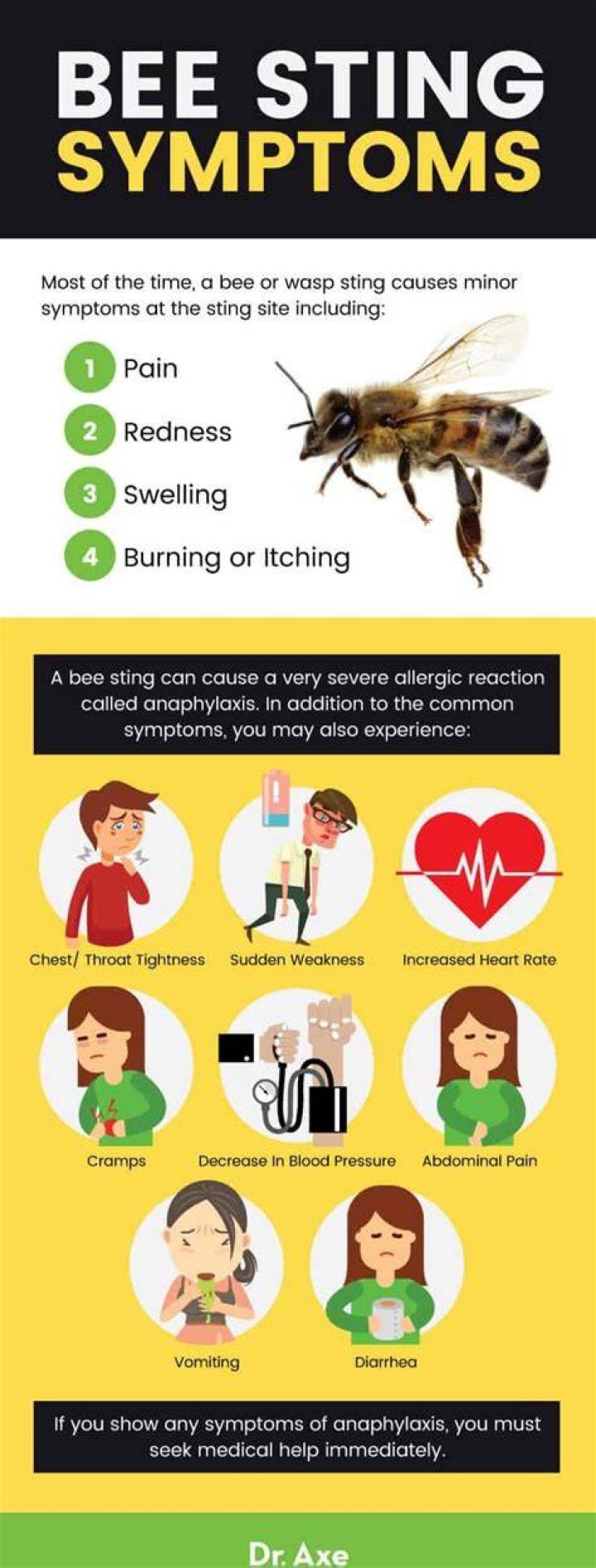 Are bee stings good for you?