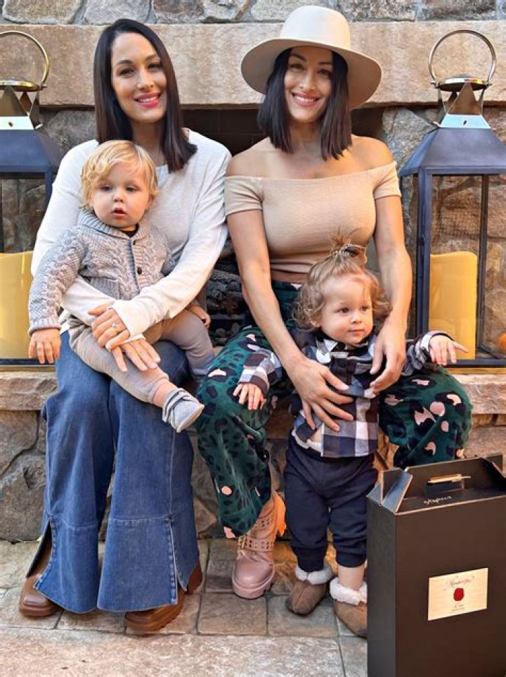 Are Brie and Nikki retired?