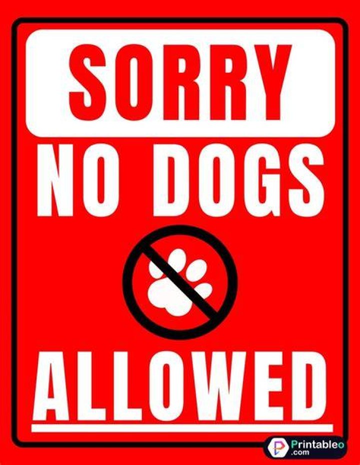 Are dogs allowed at South Stack?