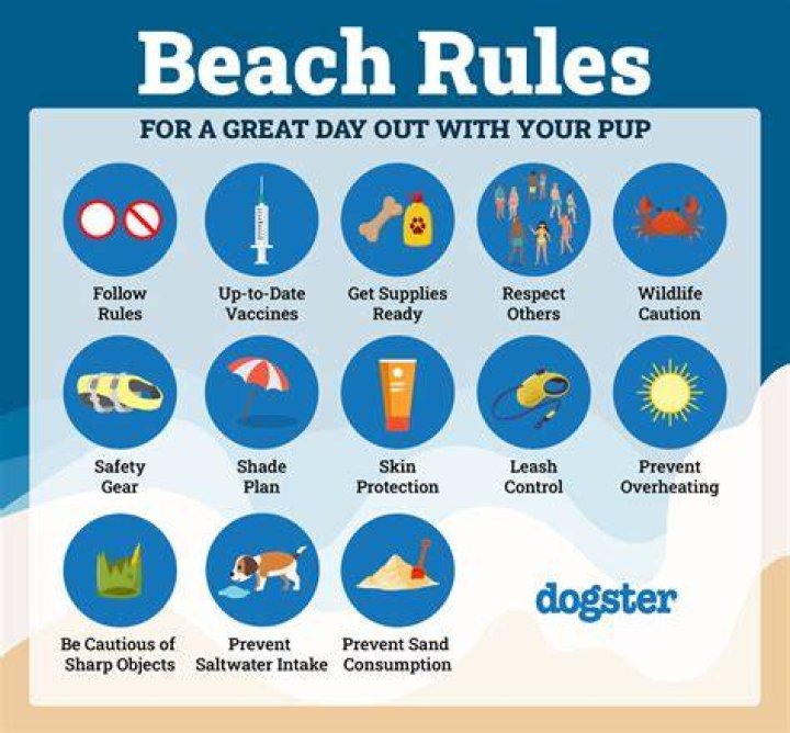 Are dogs allowed on North Shore Beach?
