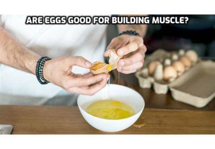 Are eggs good for building muscle?