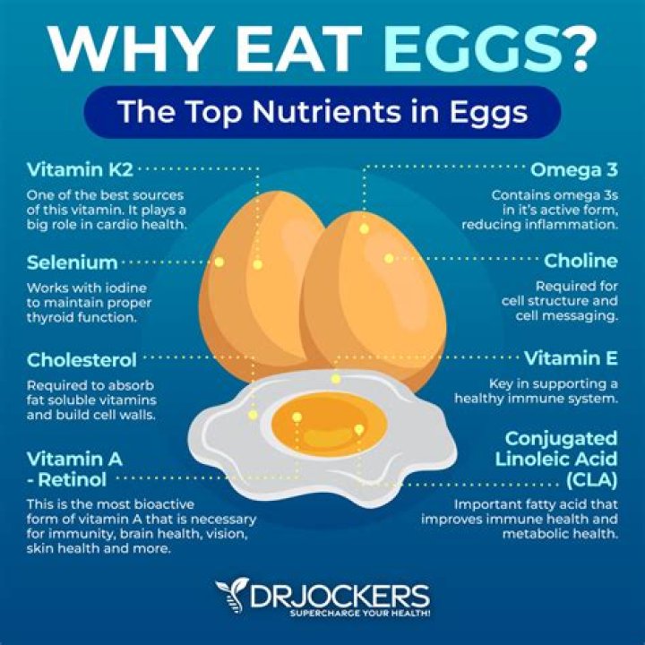 Are eggs good for digestion?
