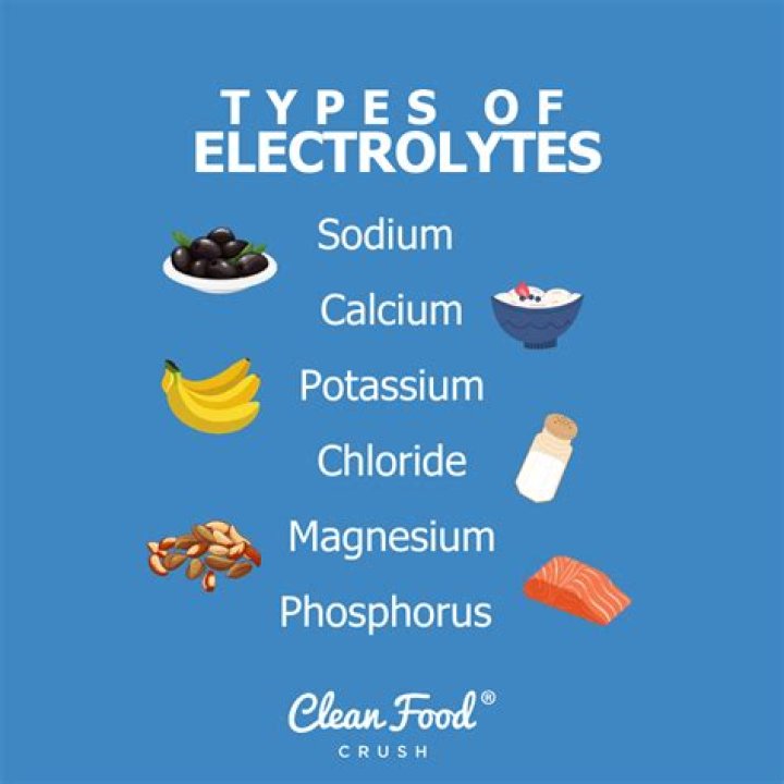 Are electrolytes good for cats?