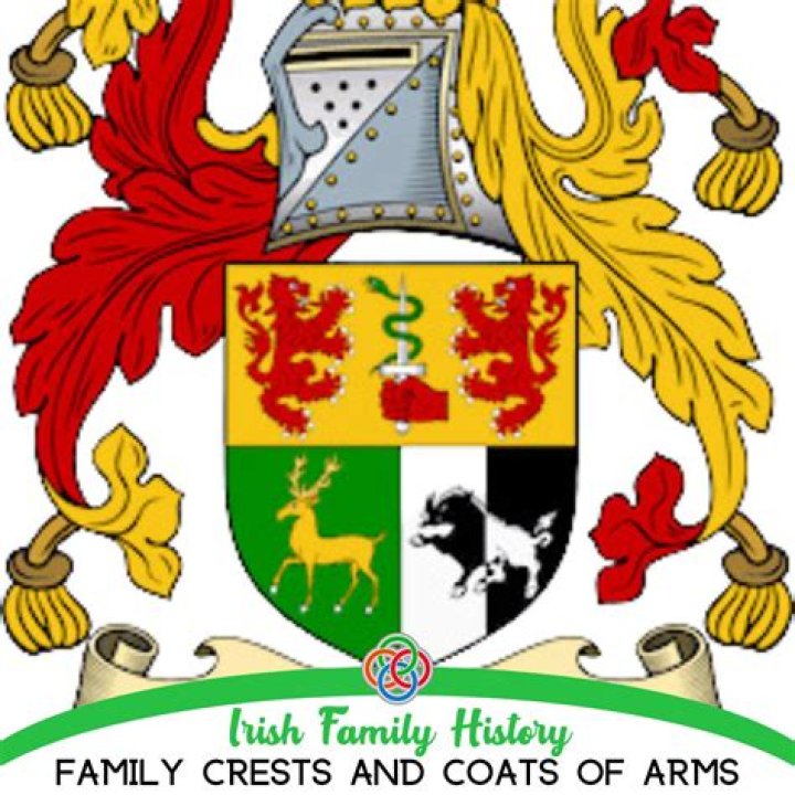 Are family coat of arms real?