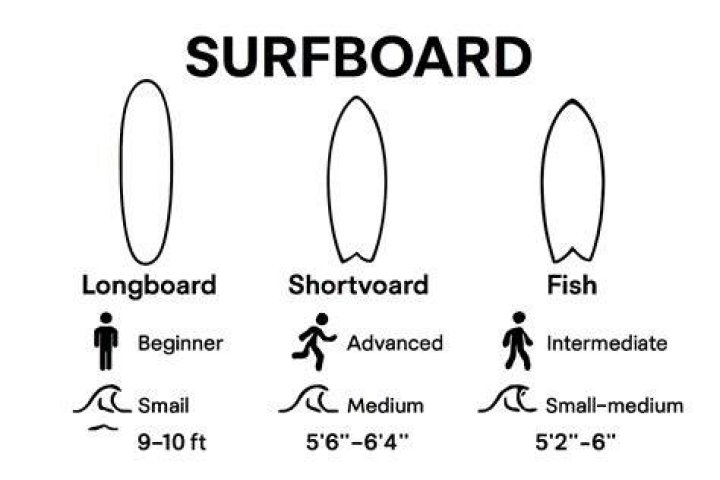 Are fish Boards good?
