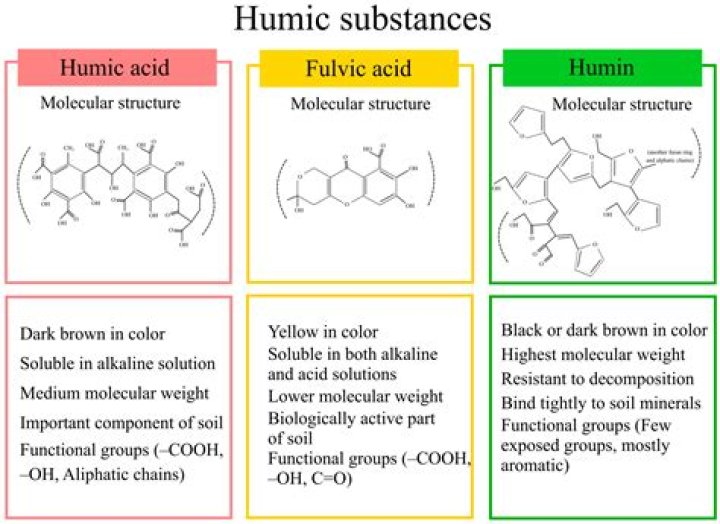 Are fulvic acids humic substances?