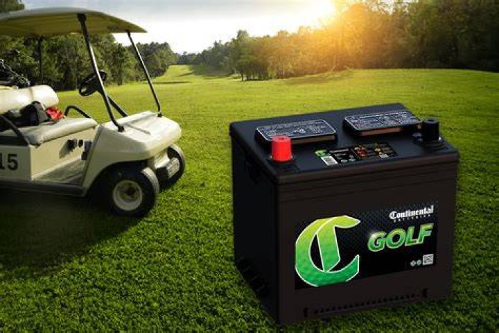 Are golf cart batteries standard or AGM?