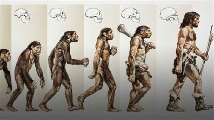 Are humans meant to be nomads?