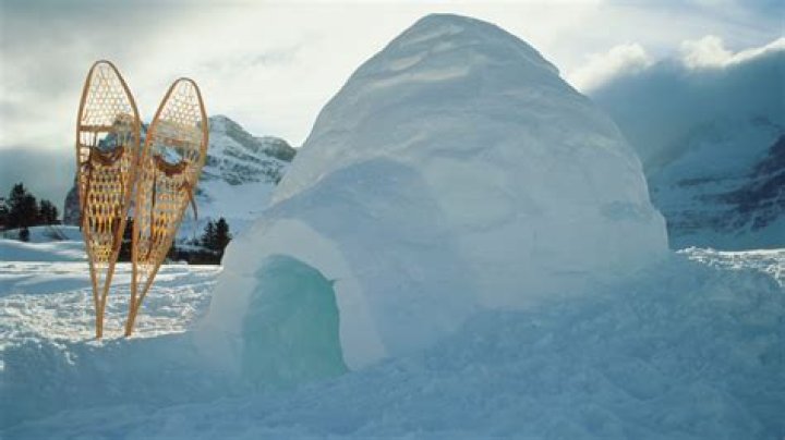Are igloos warm for dogs?