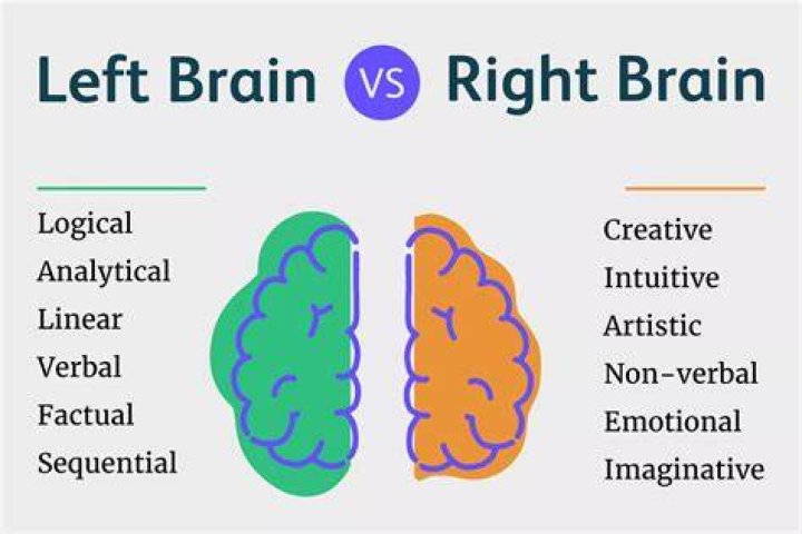 Are INFJ right or left brained?
