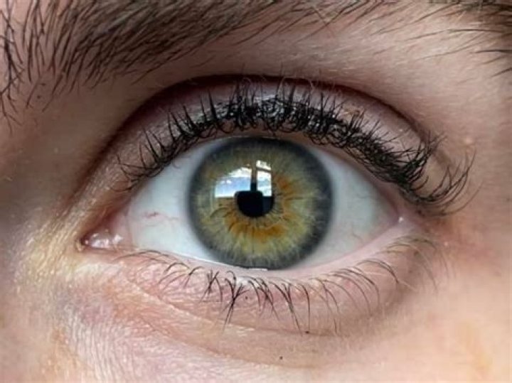 Are my eyes green or hazel?