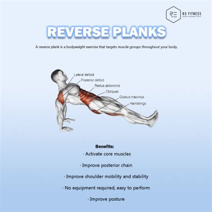 Are planks good for BJJ?
