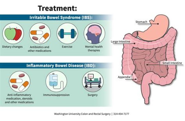 Are probiotics good for inflamed intestines?