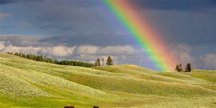 Are rainbows real?