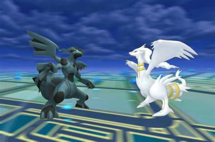 Are Reshiram and Zekrom brothers?