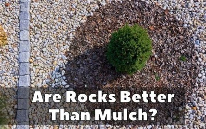 Are rocks better than mulch?