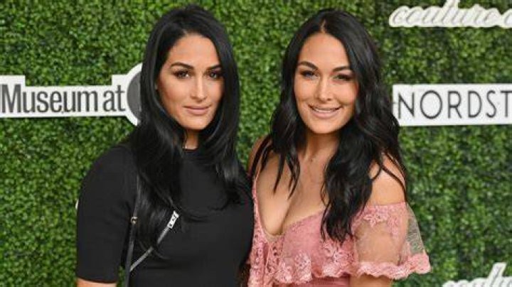 Are The Bella Twins really twins?