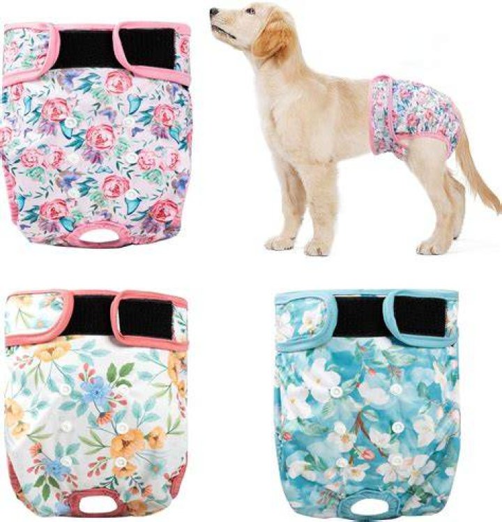 Are there doggie diapers?