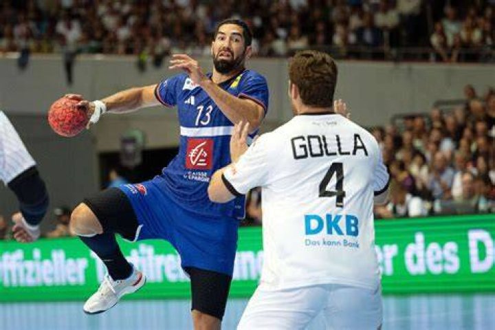 Are there professional handball players?