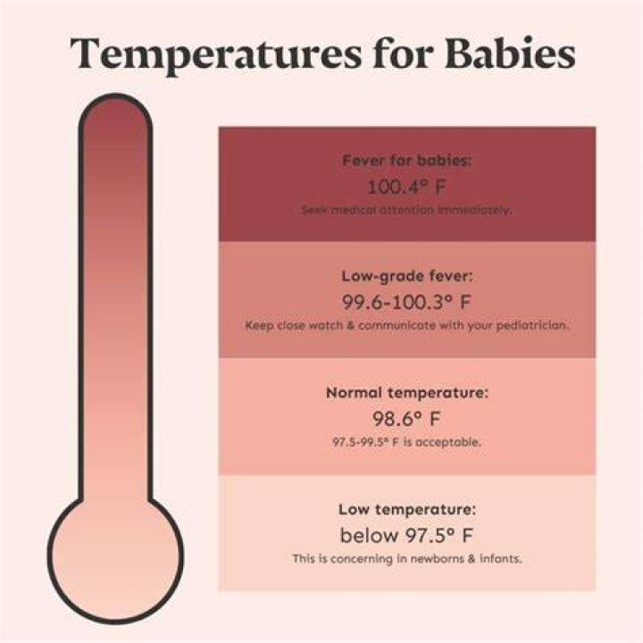 At what temperature does cotton shrink?