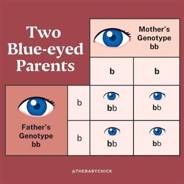 Can 2 blue-eyed parents have a brown eyed child?