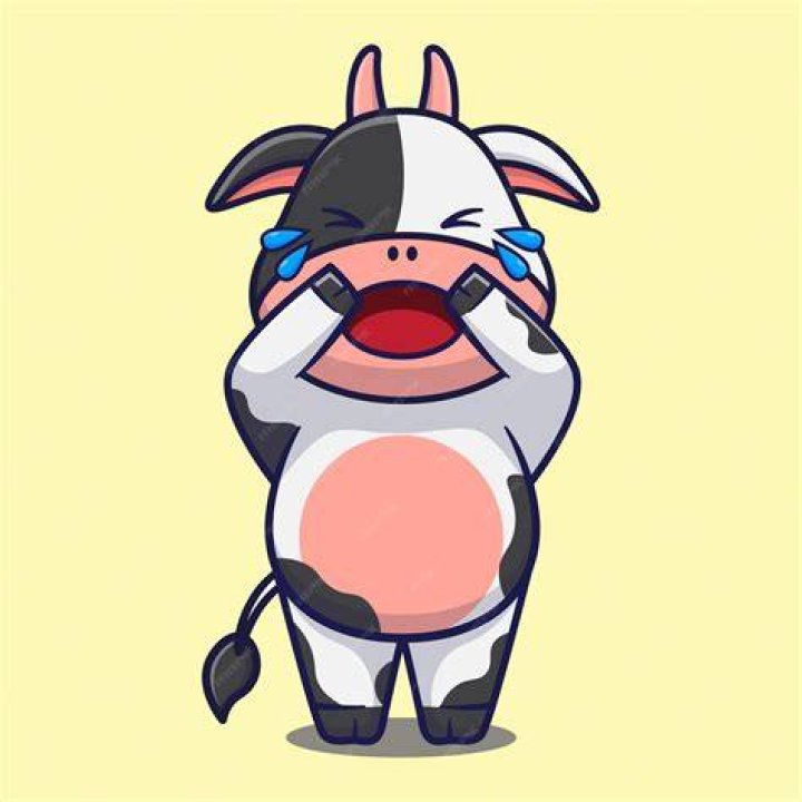 Can a cow cry?