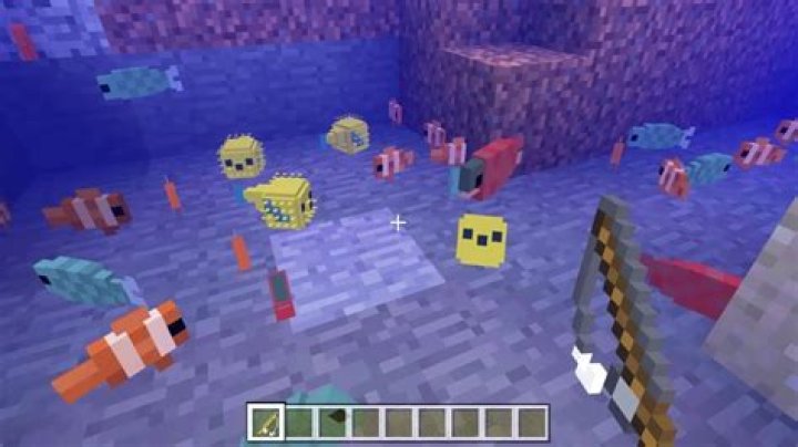 Can a fish love you?