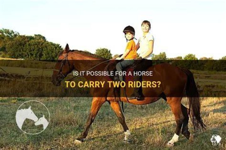 Can a horse carry two riders?