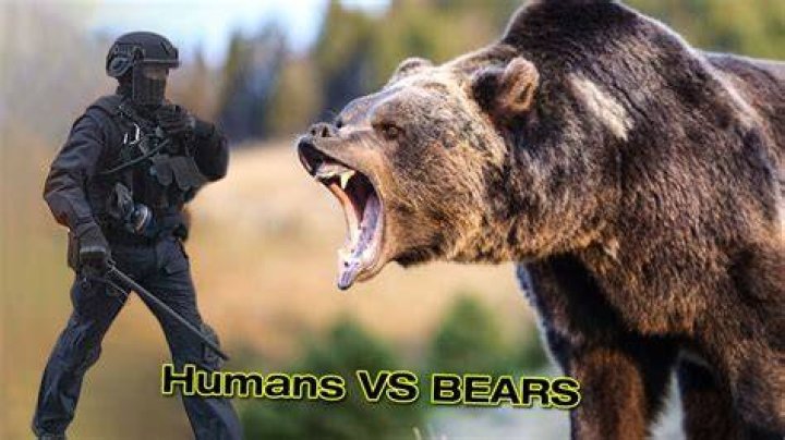 Can a human fight a black bear?