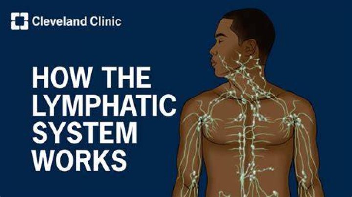 Can a sluggish lymphatic system?