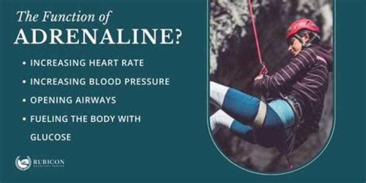 Can adrenaline keep you alive?
