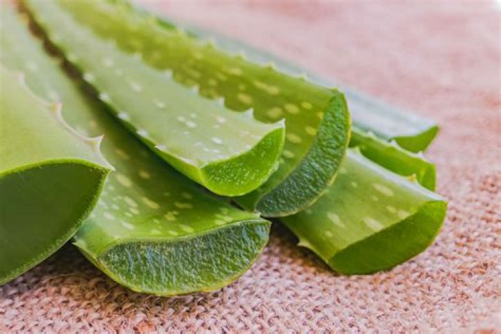 Can aloe vera remove pimples?