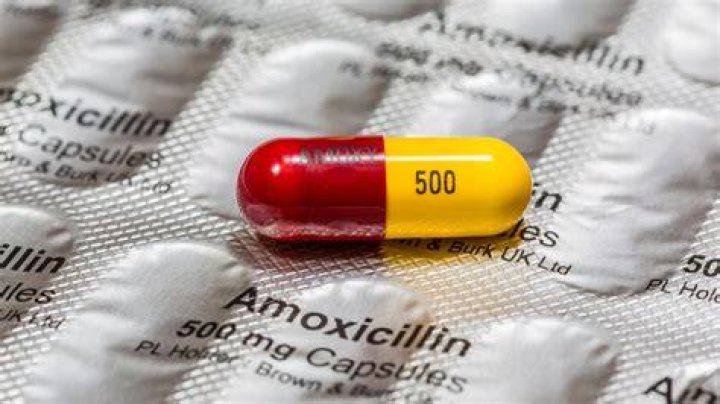 Can amoxicillin 500mg treat tooth infection?
