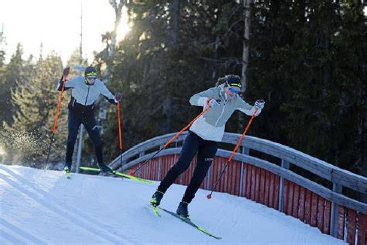 Can any ski be used for touring?