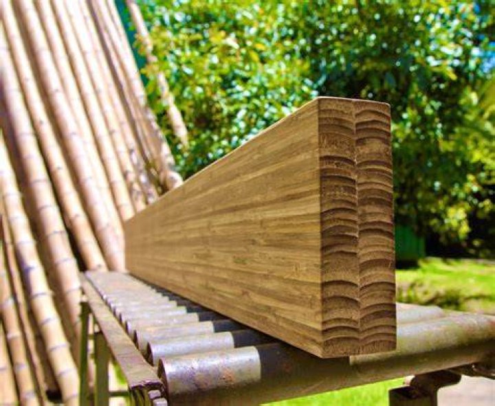 Can bamboo be used in cold climates?