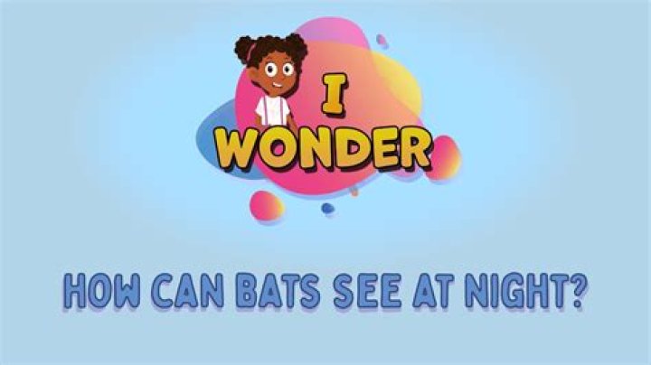 Can bats see at night?