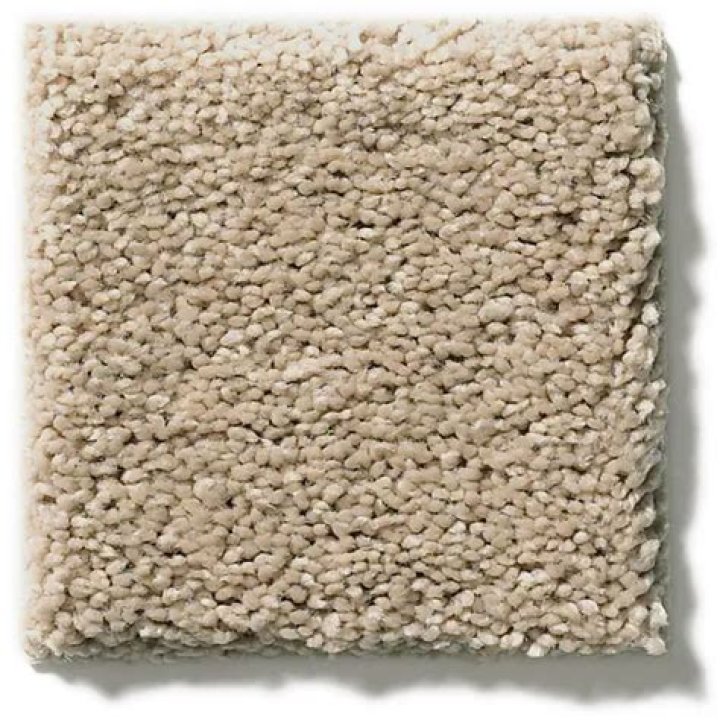 Can berber carpet be shampooed?
