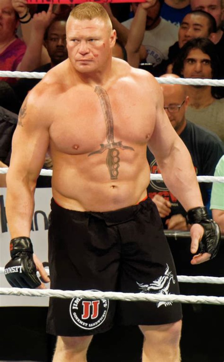 Can Brock Lesnar beat HHH?