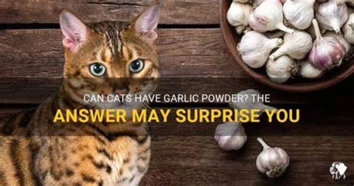Can cats have garlic powder?