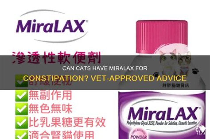 Can cats have Miralax for constipation?