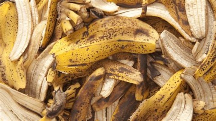 Can chickens eat banana peels?