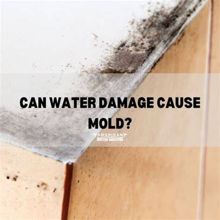 Can diffuser cause mold?