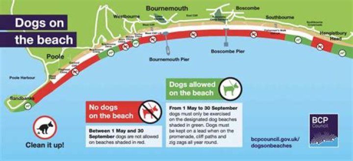 Can dogs go on Conwy beach?