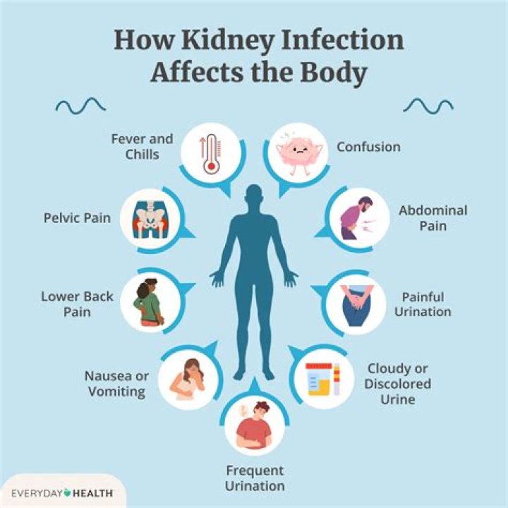 Can doxycycline make your kidneys hurt?