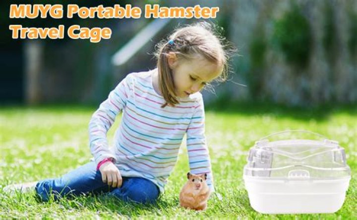 Can hamster carry diseases?