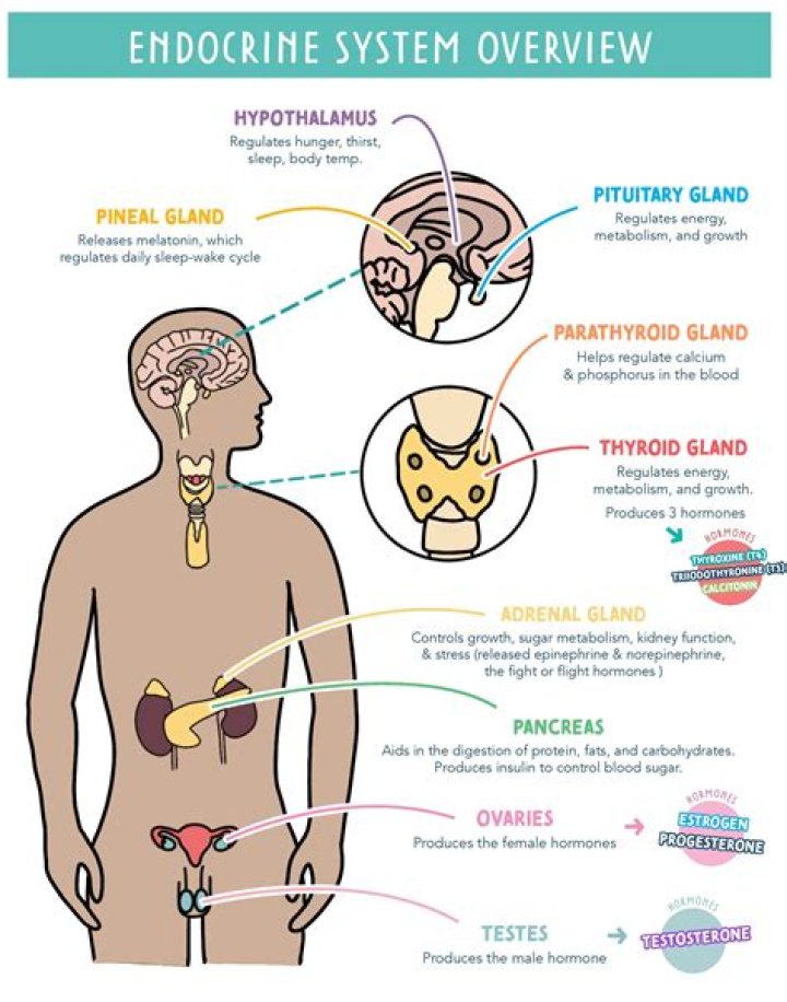 Can hormones make your skin itch?